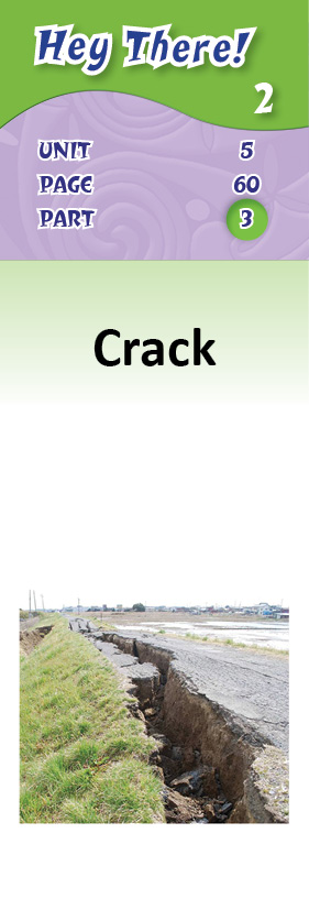 images/Crack_EsEWeZA.jpg