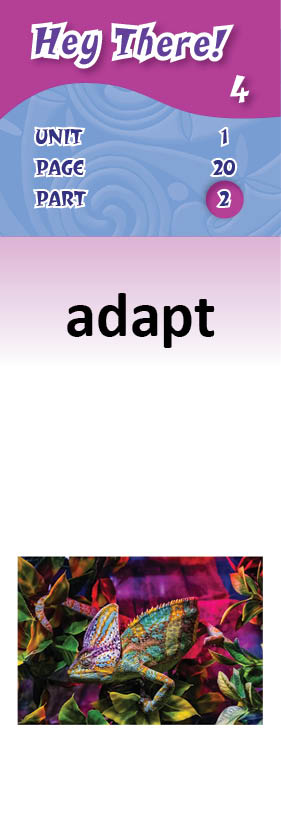 images/adapt_nHBuac3.jpg