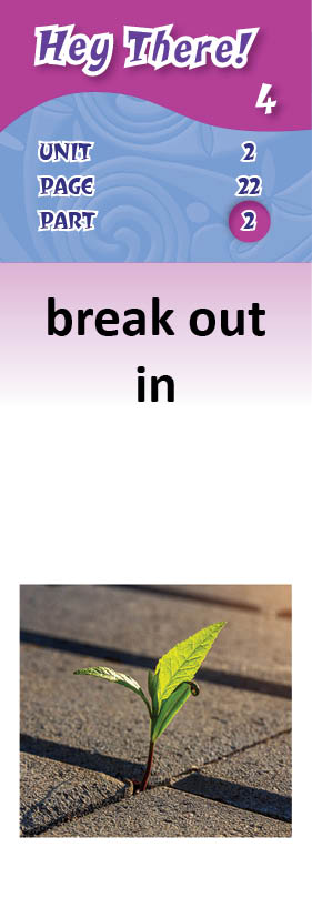 images/break_out_in_Lhdkcve.jpg