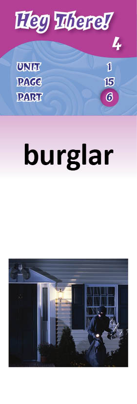 images/burglar_ulV65Lr.jpg