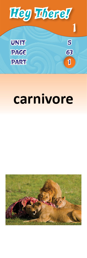 images/carnivore_9BsgRcf.jpg