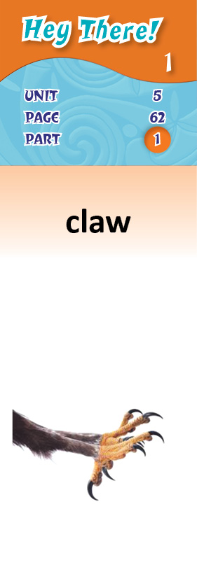 images/claw_4gn5JQ0.jpg