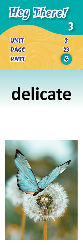 images/delicate_xsxVb8O.jpg