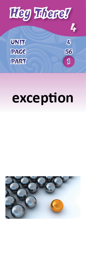 images/exception_htx7o0j.jpg