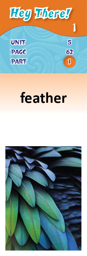 images/feather_RjrItVy.jpg