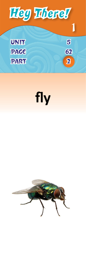 images/fly_cWDVK8S.jpg