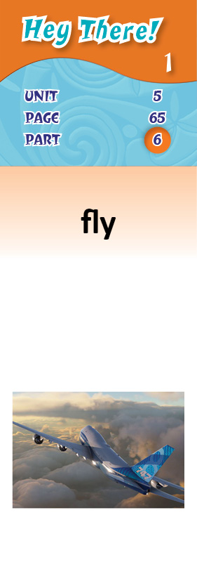 images/flyv_qYggGkz.jpg