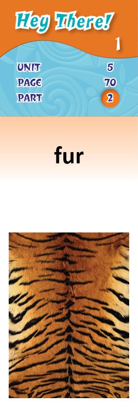 images/fur_TmVnGBN.jpg