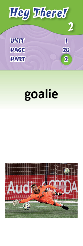 images/goalie_Ex3GGV4.jpg