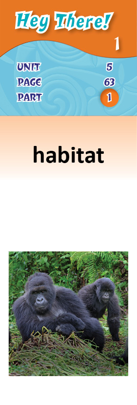 images/habitat_iqIWsb8.jpg