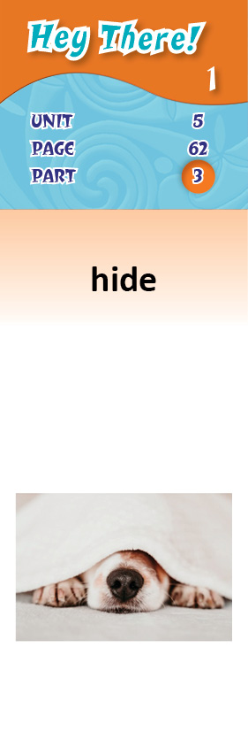 images/hide_pXwRipD.jpg
