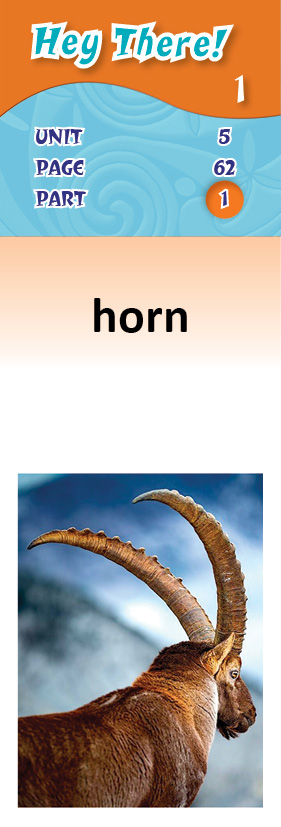 images/horn_GwP2ROZ.jpg