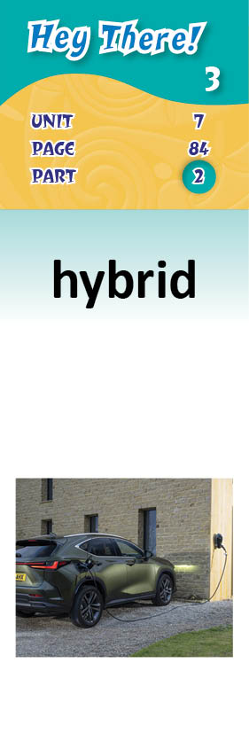 images/hybrid_TUdUlKL.jpg