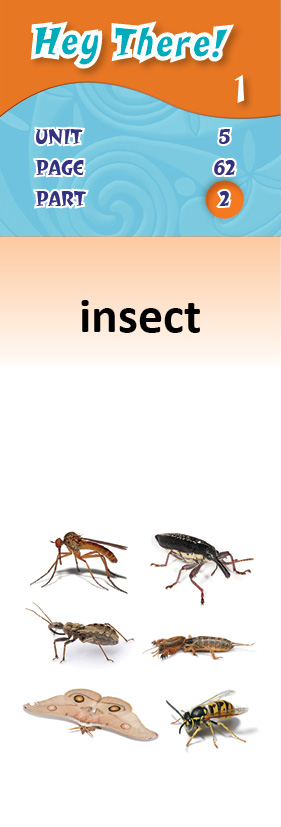 images/insect_WA8Ae0L.jpg