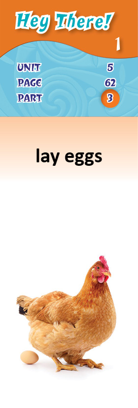 images/lay_eggs_mZ98Y2X.jpg