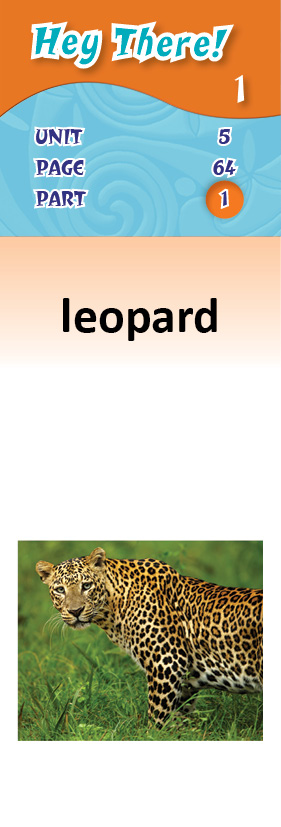 images/leopard_cprmXtz.jpg