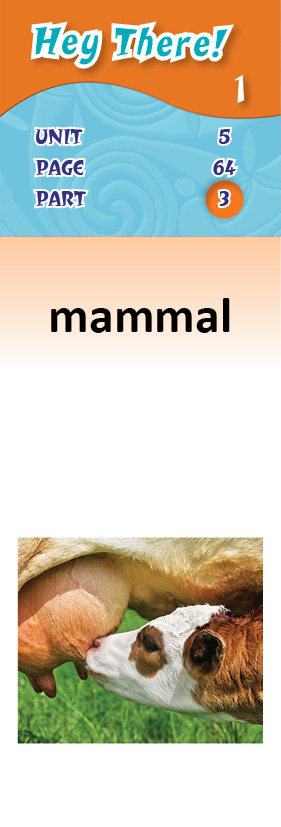 images/mammal_r9P0gSj.jpg