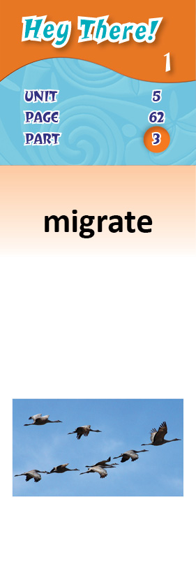images/migrate_Z75HRZL.jpg