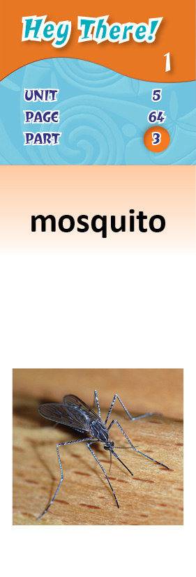 images/mosquito_f9dfDkG.jpg