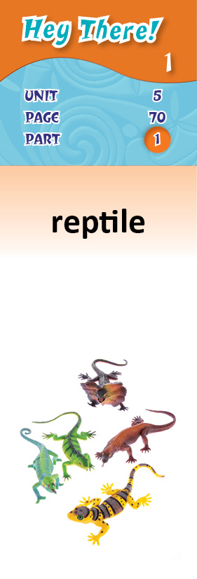 images/reptile_u7pZXO6.jpg