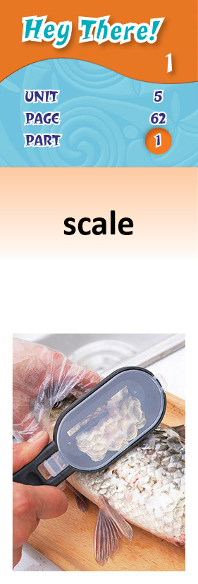 images/scale_iIWxpkb.jpg