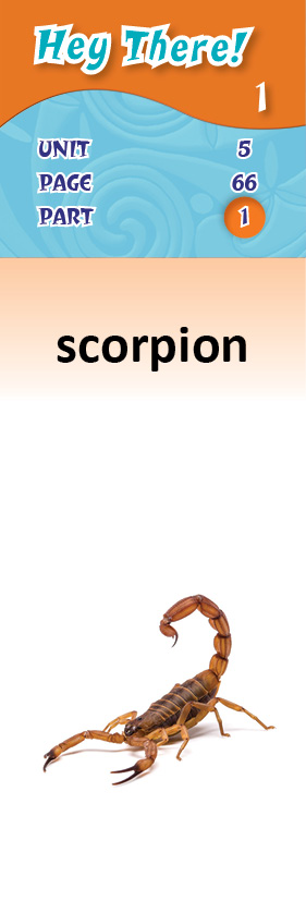 images/scorpion_AMI64uW.jpg