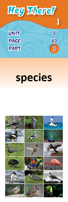 images/species_qakLINS.jpg