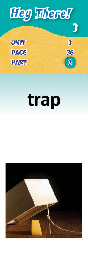 images/trap_frP7Jpd.jpg
