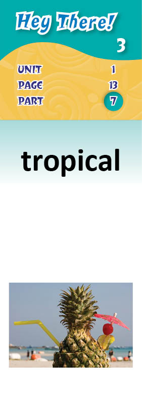 images/tropical_Etjo6CX.jpg