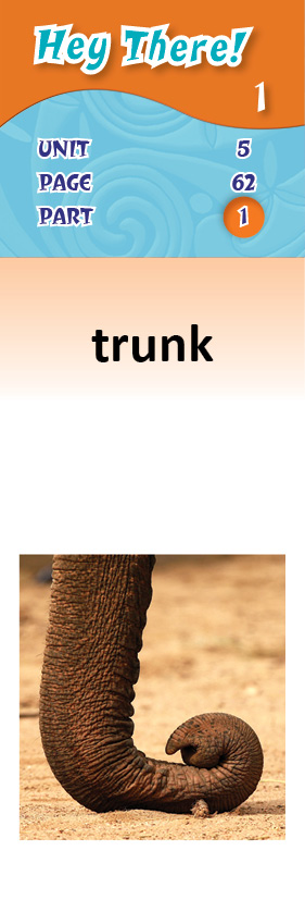images/trunk_XqggwlJ.jpg