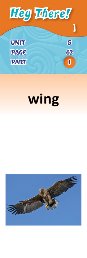 images/wing_BYMFOsq.jpg